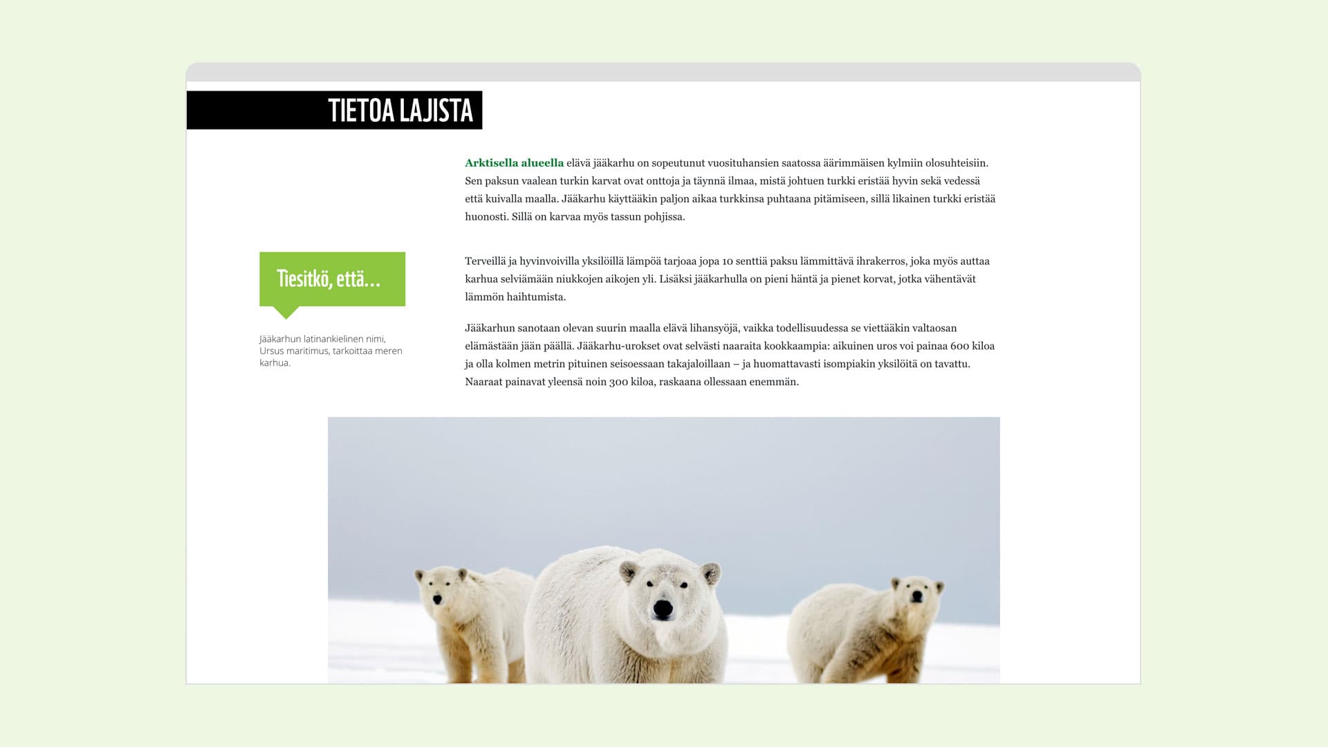 WWF Suomi jääkarhun lajisivu