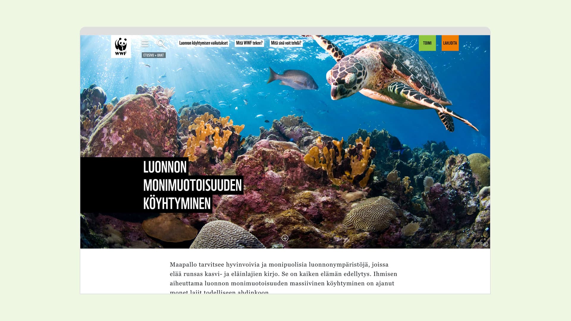 WWF Suomi luonnon monimuotoisuus sivu